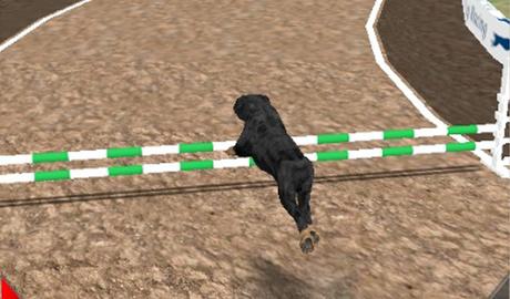 Dog Simulator 3D