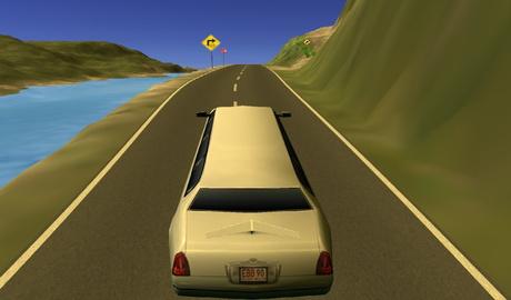 Limousine Driver