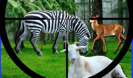 Real Jungle Animals Hunting