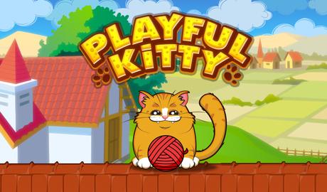 Playful Kitty