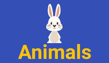 Animals