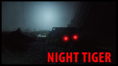 3D Night Tiger Driving