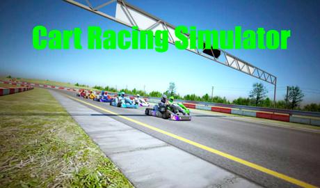 Cart Racing Simulator