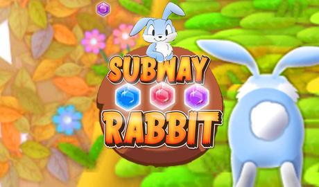 Subway Rabbit