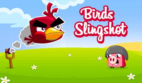 Birds Slingshot