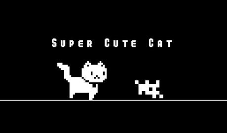Super Cute Cat