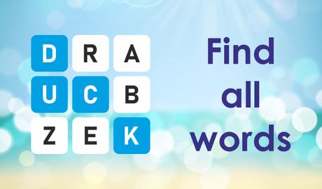 Word Maze - Word Search