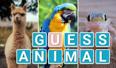 Guess Animal