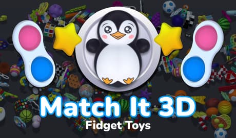 Match It 3D Fidget Toys