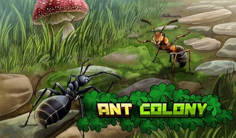 Ant Colony