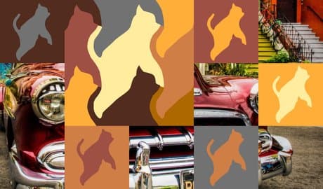 Kittens - Bunch of puzzles