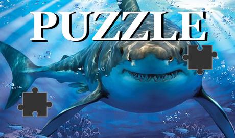Puzzle: Underwater World