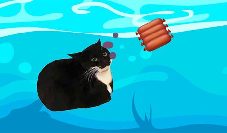 Maxwells Cat - meow, yum!
